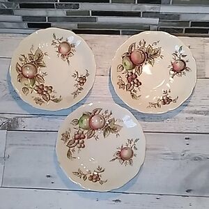 Vintage Johnson Brothers Harvest Time England 🇬🇧